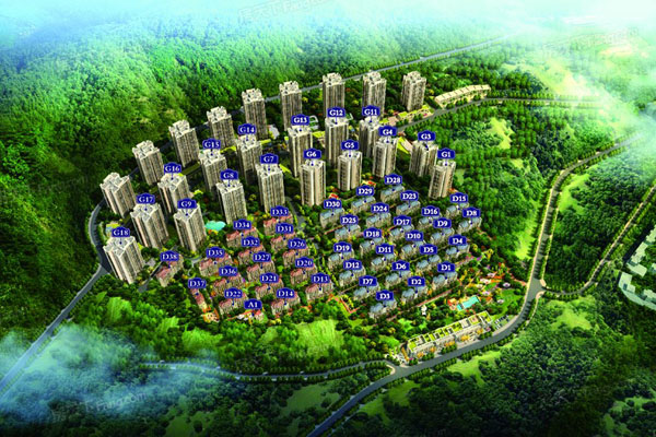 �f���^����